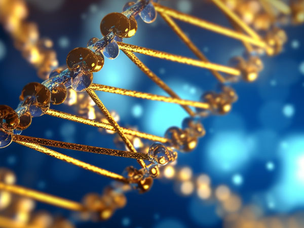 Gene Expression Quantification Methods