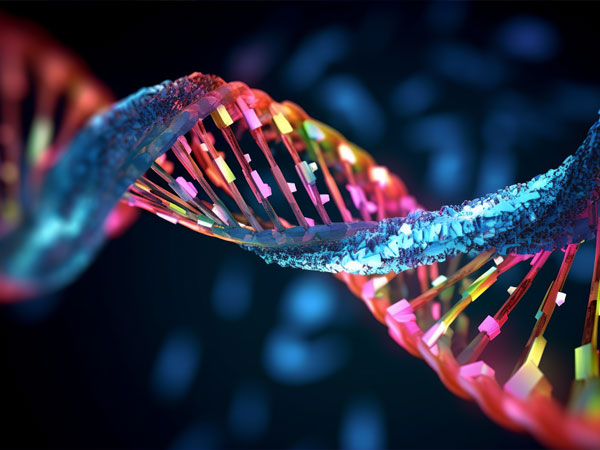 Non-Model Organism Genomics