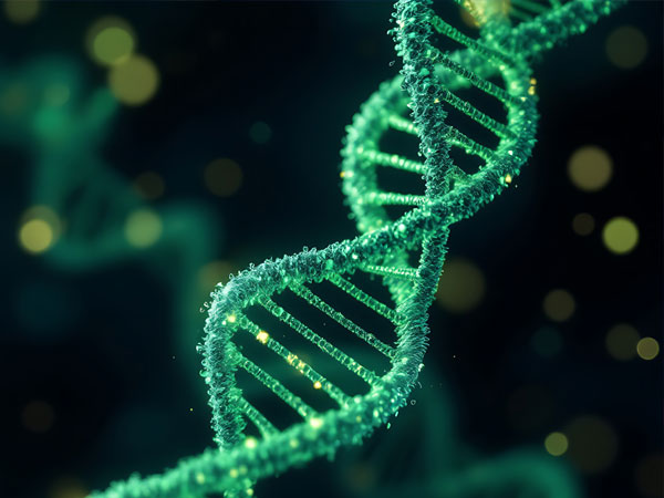 Synthetic Biology Design Principles